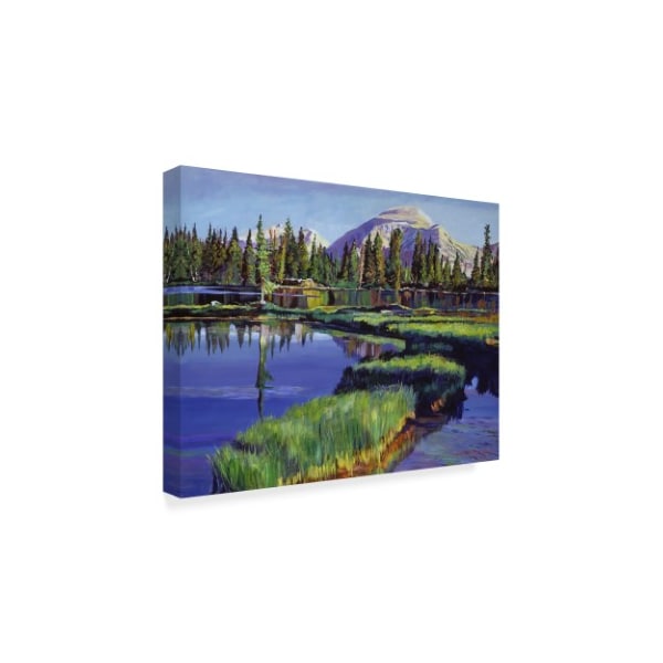 David Lloyd Glover 'Fishermans Lake Reflections' Canvas Art,18x24